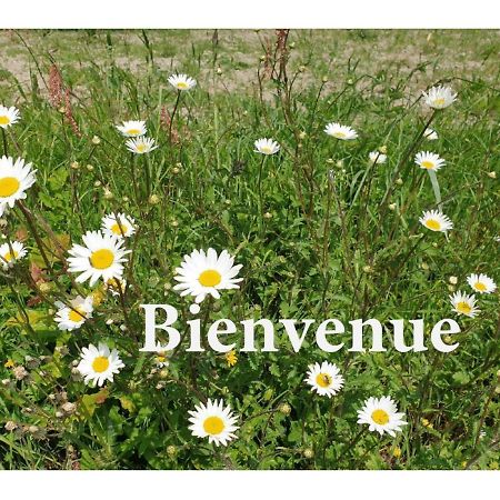 Charming Traditional 2-Bed Cottage Near Plémet المظهر الخارجي الصورة